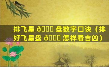 排飞星 🐈 盘数字口诀（排好飞星盘 🐞 怎样看吉凶）